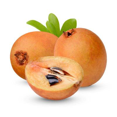 Chikoo / Sapota