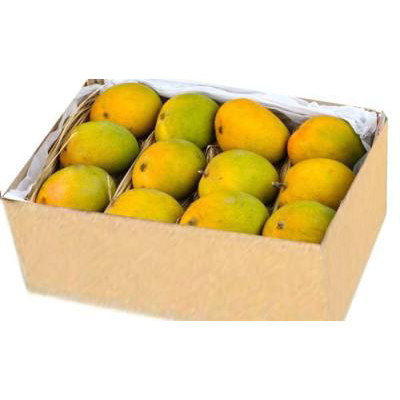 Alphanso Mangoes (10 -12 pcs)