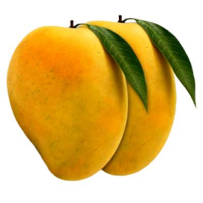 Kesar Mangoes (5-6 pcs)
