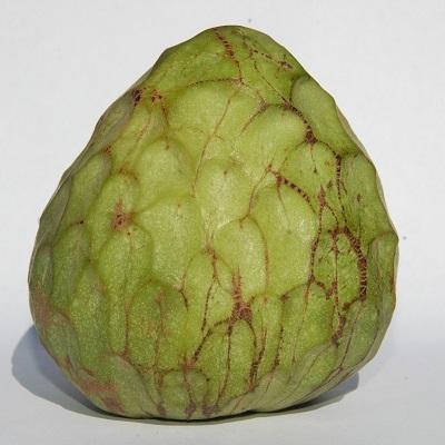 Custard Apple